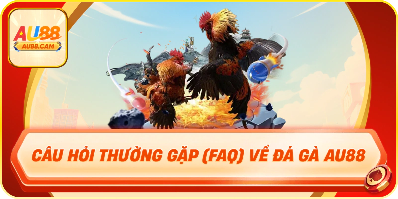 Câu Hỏi Thường Gặp (FAQ) về Đá Gà AU88